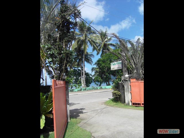 SDC11451
