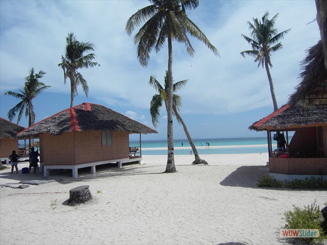 SDC12720