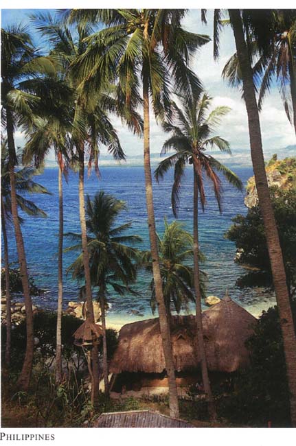 183-Negros