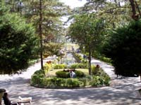 282-park