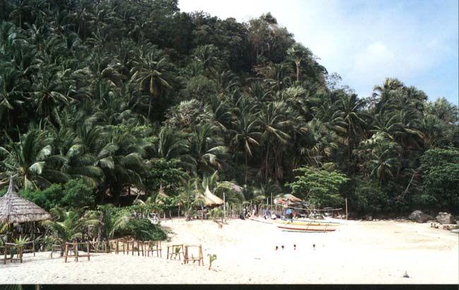 259-WBeach