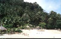 259-WBeach