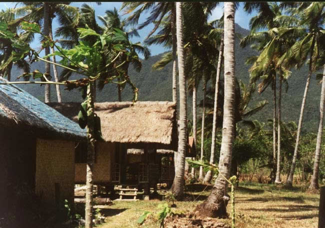11-Taraw01