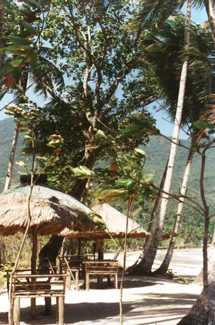 18-Taraw3