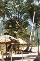 18-Taraw3