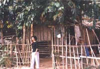 NhitzNew3
