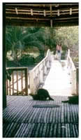 17-Quezon